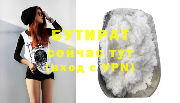 индика Бронницы