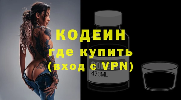 индика Бронницы