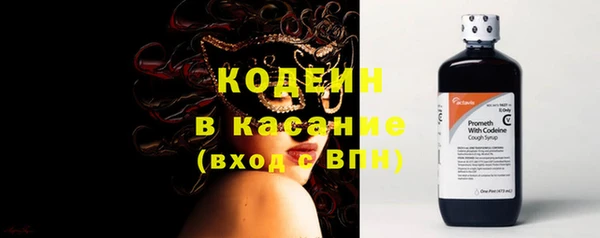 индика Бронницы