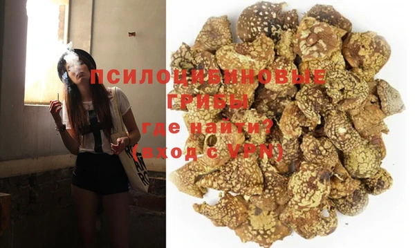 индика Бронницы