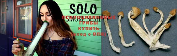 кокс Бородино
