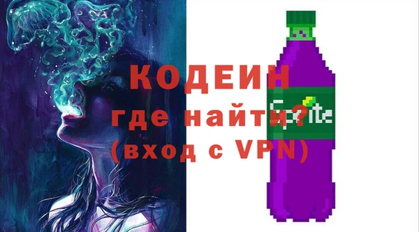 соль ск Богородск
